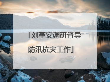 刘革安调研督导防汛抗灾工作