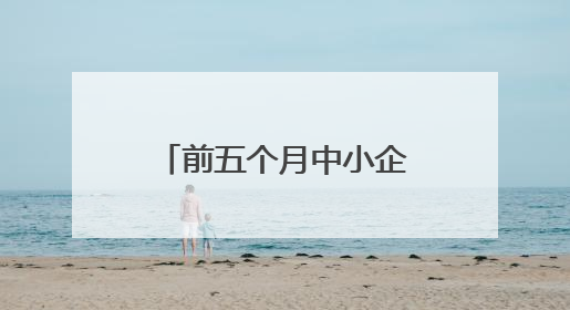 前五个月中小企业产业园入驻企业增长超三成