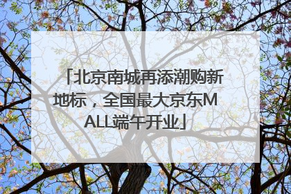 北京南城再添潮购新地标，全国最大京东MALL端午开业
