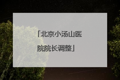北京小汤山医院院长调整