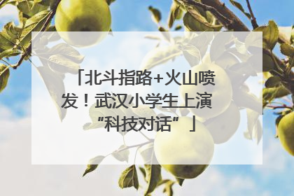 北斗指路+火山喷发！武汉小学生上演“科技对话”