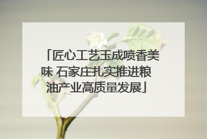 匠心工艺玉成喷香美味 石家庄扎实推进粮油产业高质量发展