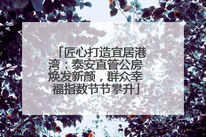 匠心打造宜居港湾：泰安直管公房焕发新颜，群众幸福指数节节攀升