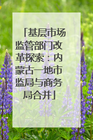 基层市场监管部门改革探索：内蒙古一地市监局与商务局合并