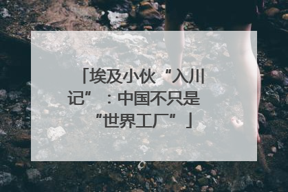埃及小伙“入川记”：中国不只是“世界工厂”