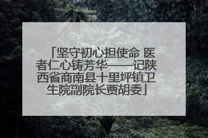 坚守初心担使命 医者仁心铸芳华——记陕西省商南县十里坪镇卫生院副院长贾胡委