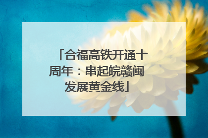 合福高铁开通十周年：串起皖赣闽发展黄金线