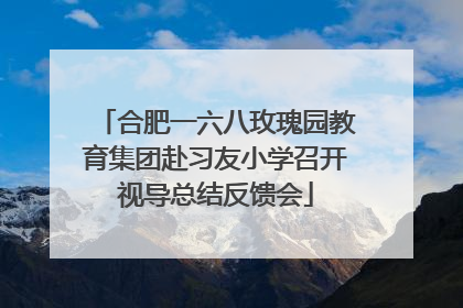 合肥一六八玫瑰园教育集团赴习友小学召开视导总结反馈会