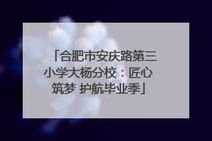 合肥市安庆路第三小学大杨分校：匠心筑梦 护航毕业季