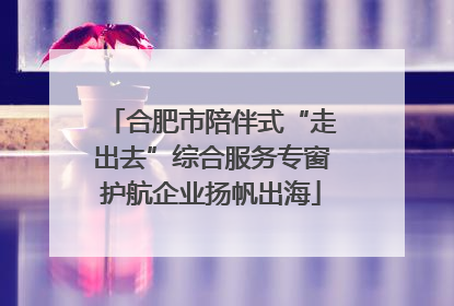 合肥市陪伴式“走出去”综合服务专窗护航企业扬帆出海
