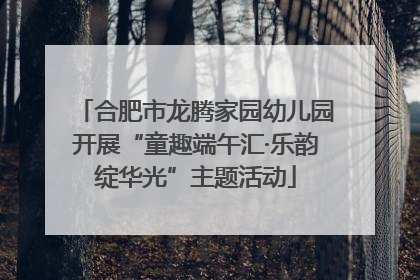 合肥市龙腾家园幼儿园开展“童趣端午汇·乐韵绽华光”主题活动