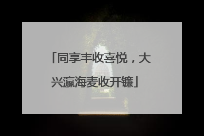同享丰收喜悦，大兴瀛海麦收开镰