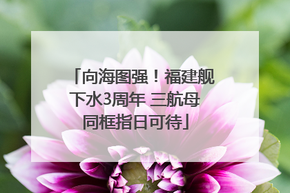 向海图强！福建舰下水3周年 三航母同框指日可待