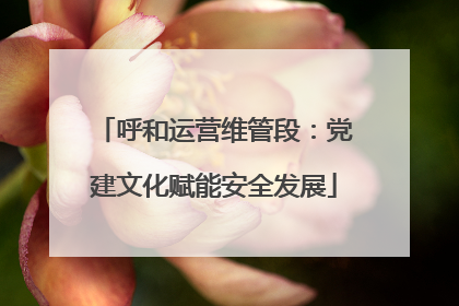 呼和运营维管段：党建文化赋能安全发展