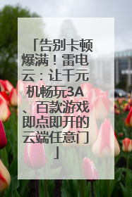 告别卡顿爆满！雷电云：让千元机畅玩3A、百款游戏即点即开的云端任意门