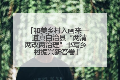 和美乡村入画来——道真自治县“两清两改两治理”书写乡村振兴新答卷