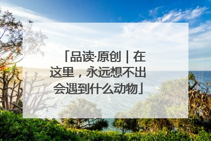 品读·原创｜在这里，永远想不出会遇到什么动物