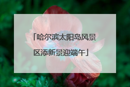 哈尔滨太阳岛风景区添新景迎端午