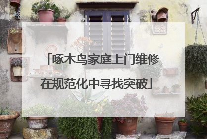 啄木鸟家庭上门维修在规范化中寻找突破