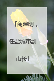 商建明，任盐城市副市长
