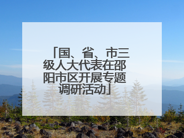 国、省、市三级人大代表在邵阳市区开展专题调研活动