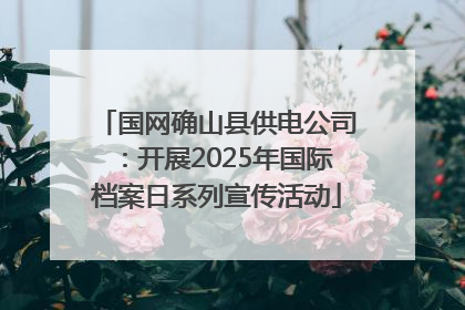 国网确山县供电公司：开展2025年国际档案日系列宣传活动