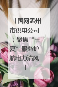 国网孟州市供电公司：聚焦“三夏”服务护航电力清风