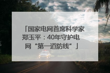 国家电网首席科学家郑玉平：40年守护电网“第一道防线”