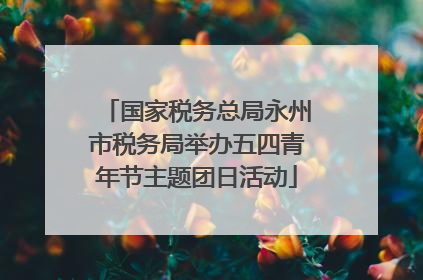 国家税务总局永州市税务局举办五四青年节主题团日活动