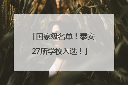 国家级名单！泰安27所学校入选！