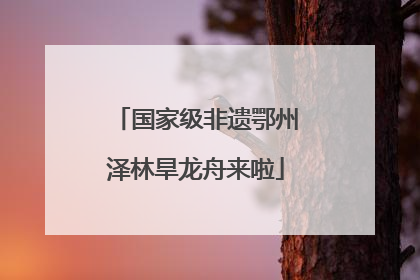 国家级非遗鄂州泽林旱龙舟来啦