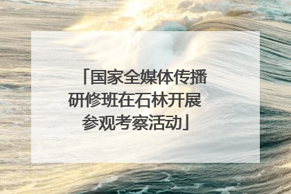 国家全媒体传播研修班在石林开展参观考察活动