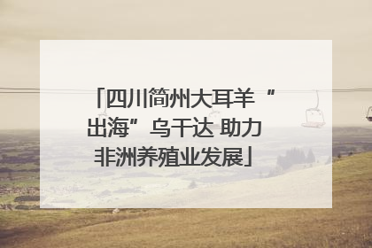四川简州大耳羊“出海”乌干达 助力非洲养殖业发展