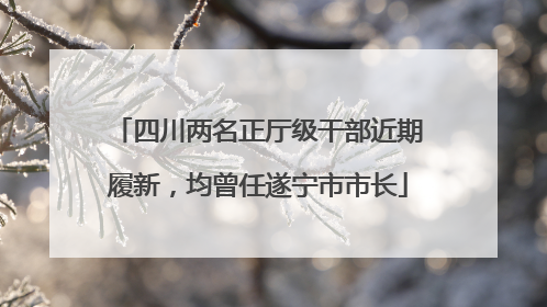 四川两名正厅级干部近期履新，均曾任遂宁市市长