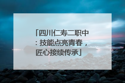 四川仁寿二职中：技能点亮青春，匠心接续传承