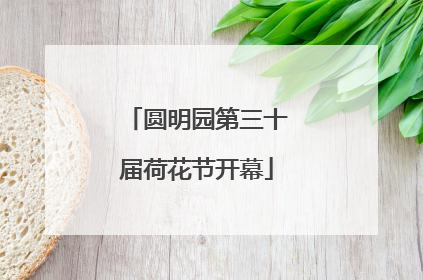 圆明园第三十届荷花节开幕