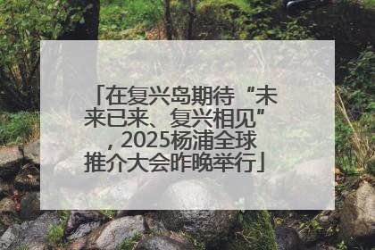 在复兴岛期待“未来已来、复兴相见”，2025杨浦全球推介大会昨晚举行