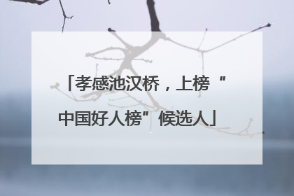 孝感池汉桥，上榜“中国好人榜”候选人