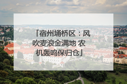宿州埇桥区：风吹麦浪金满地 农机轰鸣保归仓