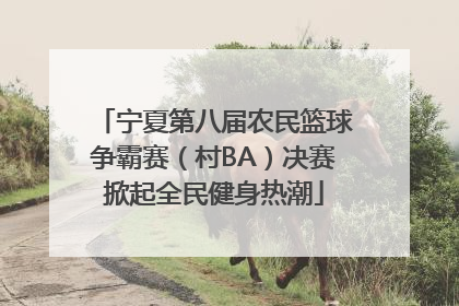 宁夏第八届农民篮球争霸赛（村BA）决赛掀起全民健身热潮