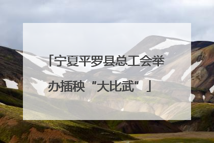宁夏平罗县总工会举办插秧“大比武”