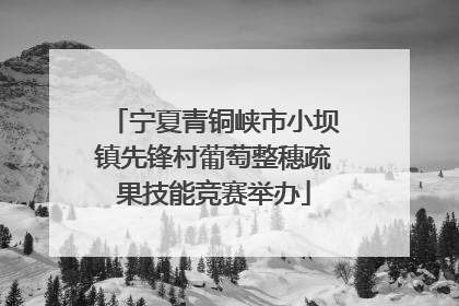 宁夏青铜峡市小坝镇先锋村葡萄整穗疏果技能竞赛举办