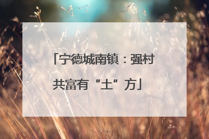 宁德城南镇：强村共富有“土”方