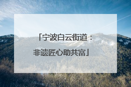 宁波白云街道：非遗匠心助共富