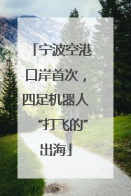 宁波空港口岸首次，四足机器人“打飞的”出海