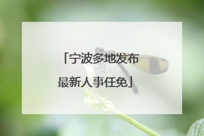宁波多地发布最新人事任免