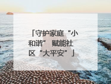 守护家庭“小和谐” 赋能社区“大平安”