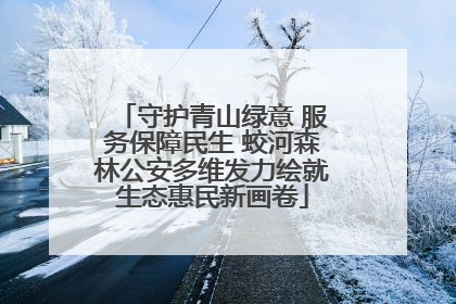 守护青山绿意 服务保障民生 蛟河森林公安多维发力绘就生态惠民新画卷