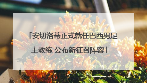 安切洛蒂正式就任巴西男足主教练 公布新征召阵容