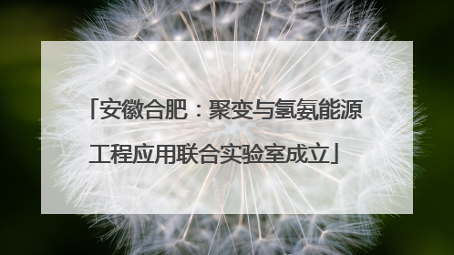 安徽合肥：聚变与氢氨能源工程应用联合实验室成立
